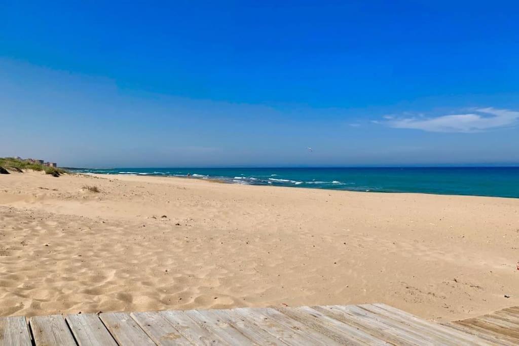 Azul Beach By La Mata Beach トレビエハ エクステリア 写真